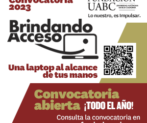 Brindando acceso 2023