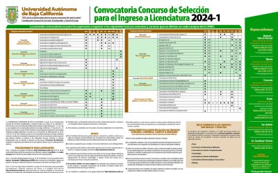 Convocatorias: Concurso de selección 2024-1